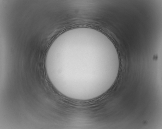 X0000113750513200910211149