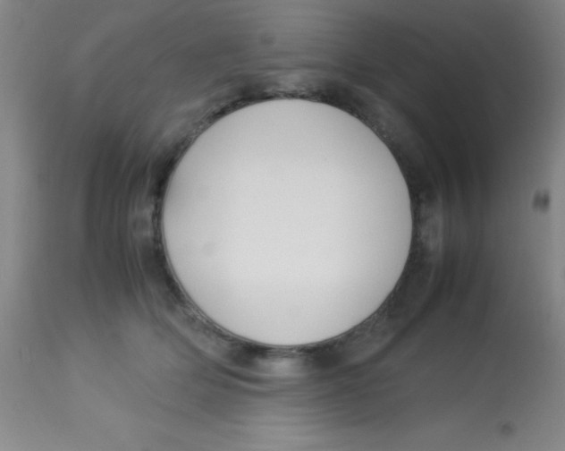 X0000113750514200910211149