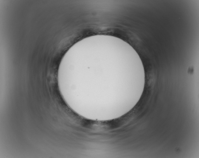 X0000113750515200910211149