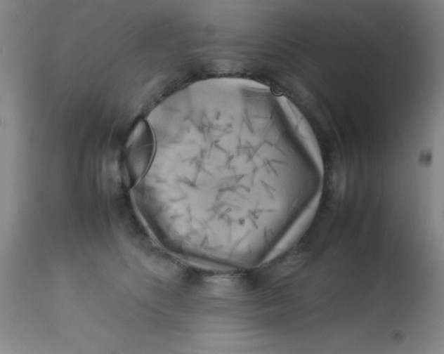 X0000113750516200910211149
