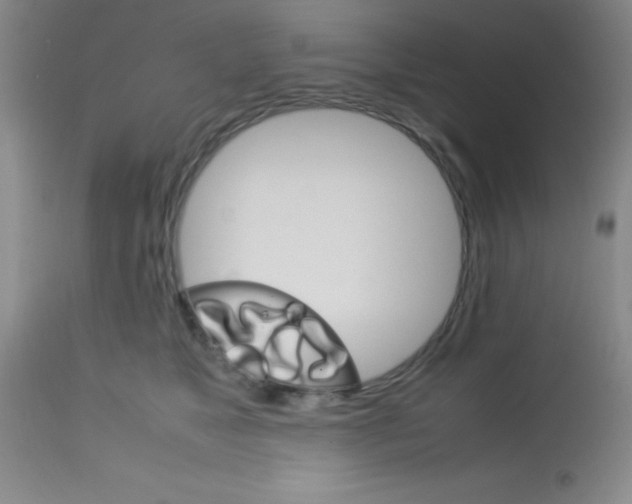 X0000113750517200910211149