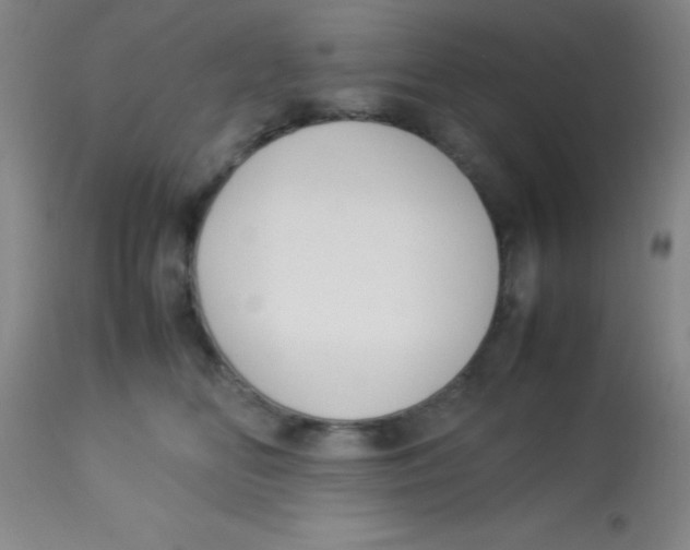 X0000113750518200910211149