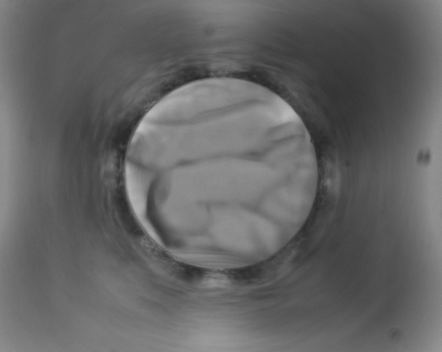 X0000113750519200910211149