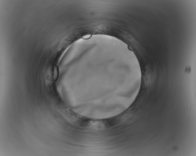 X0000113750520200910211149