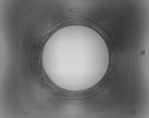 X0000113750521200910211149