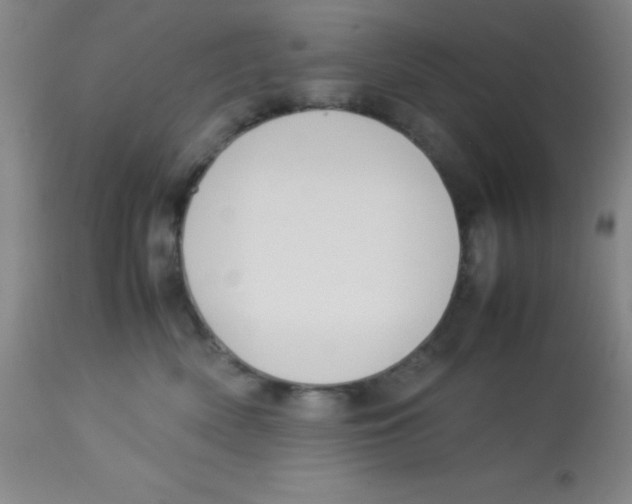 X0000113750522200910211149