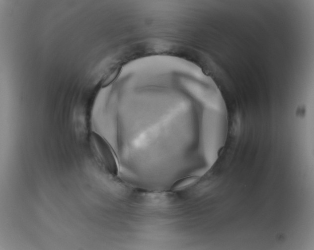 X0000113750524200910211149