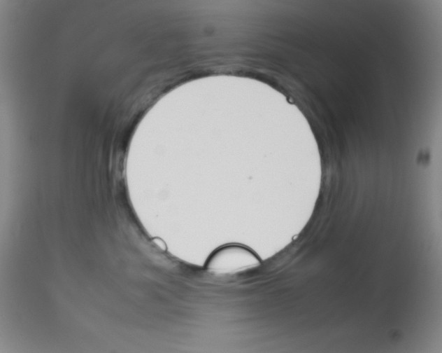 X0000113750525200910211149