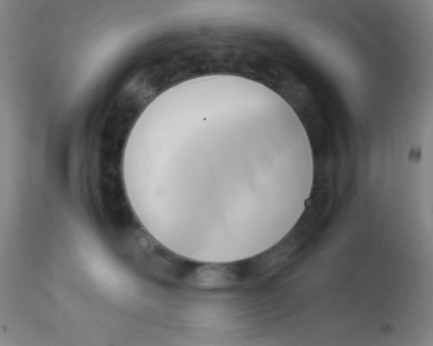 X0000113750526200910211149