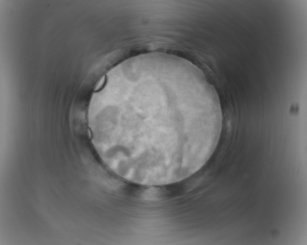 X0000113750527200910211149