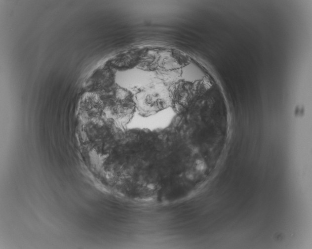 X0000113750529200910211148