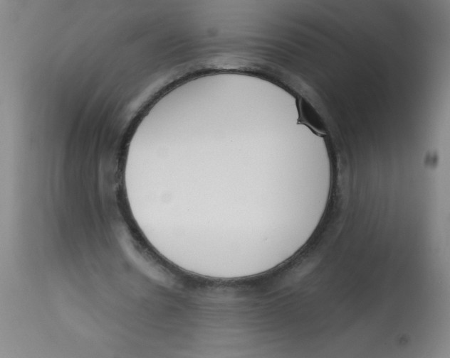 X0000113750530200910211148