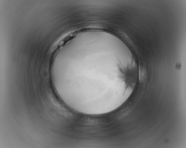 X0000113750531200910211148