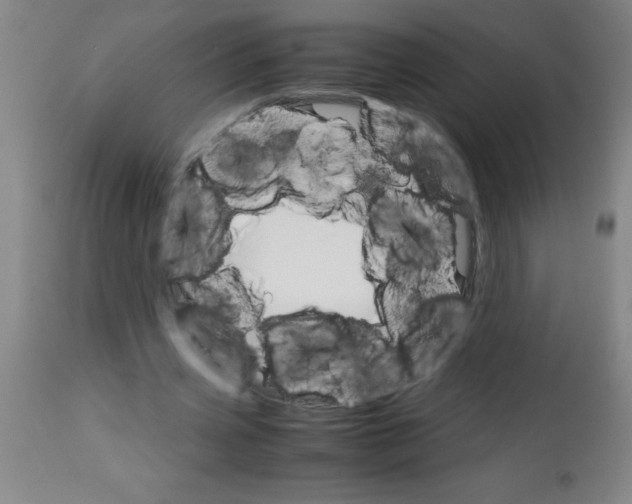 X0000113750533200910211148