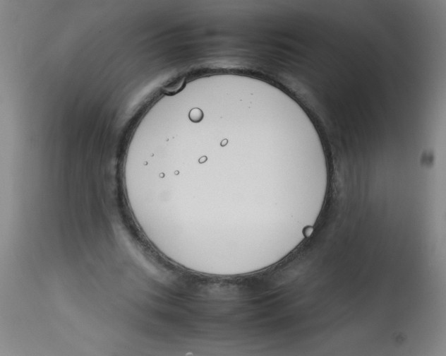 X0000113750535200910211148