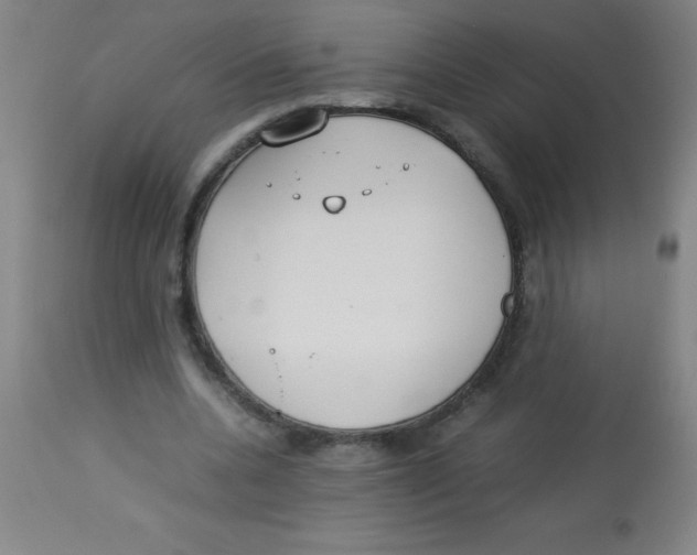 X0000113750536200910211148