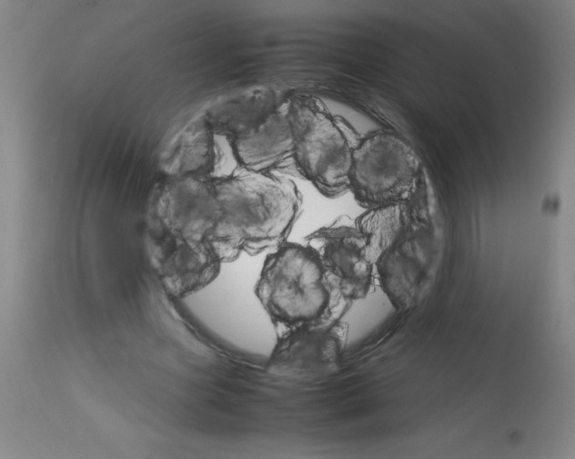 X0000113750537200910211148