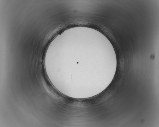 X0000113750538200910211148