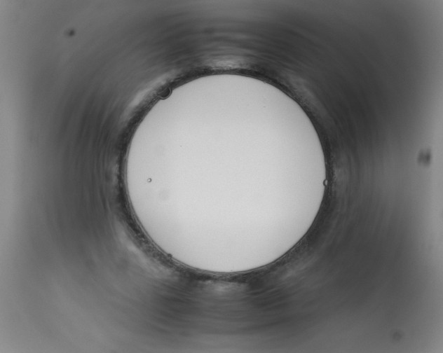 X0000113750539200910211148