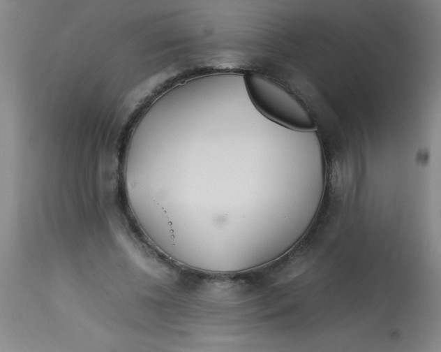 X0000113750540200910211148