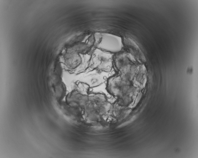 X0000113750541200910211148