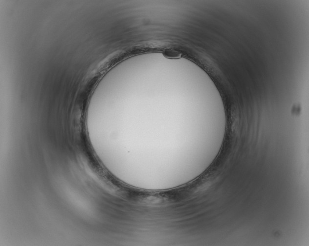 X0000113750542200910211148