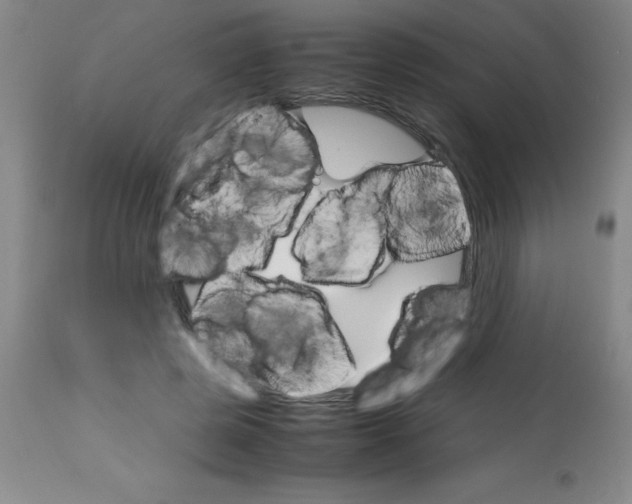 X0000113750545200910211148