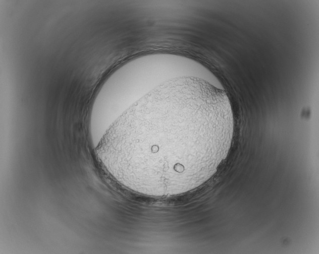 X0000113750546200910211149