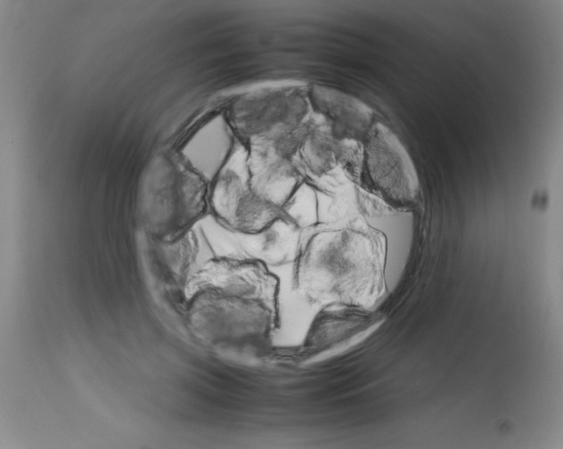 X0000113750549200910211149