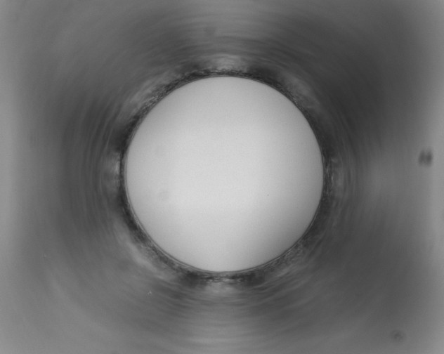 X0000113750550200910211149