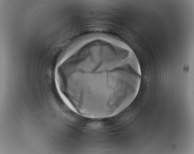 X0000113750551200910211149