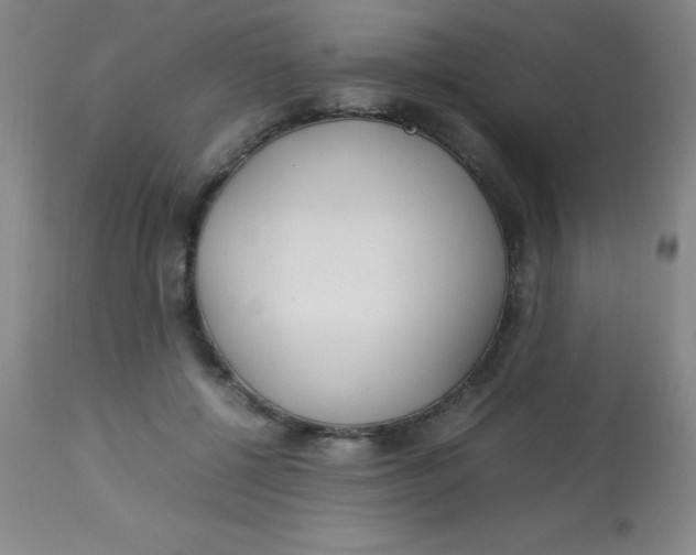 X0000113750552200910211149