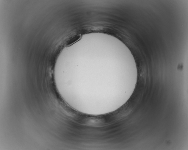 X0000113750555200910211149