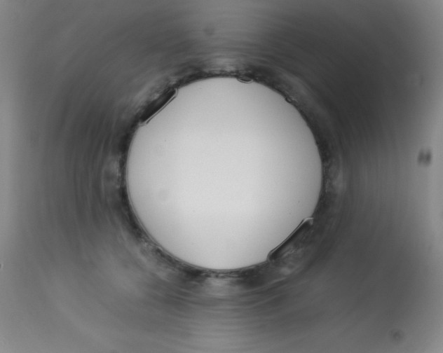 X0000113750560200910211149