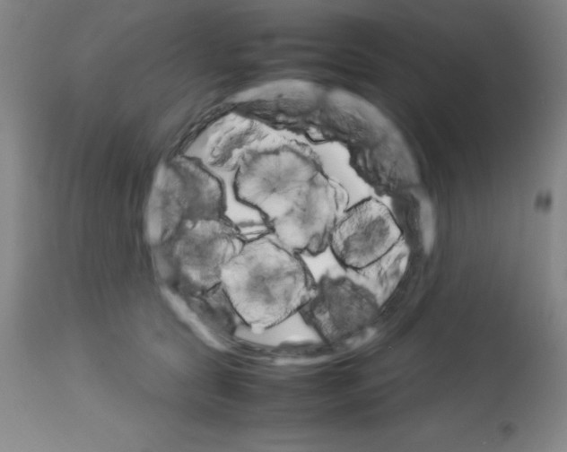 X0000113750561200910211149