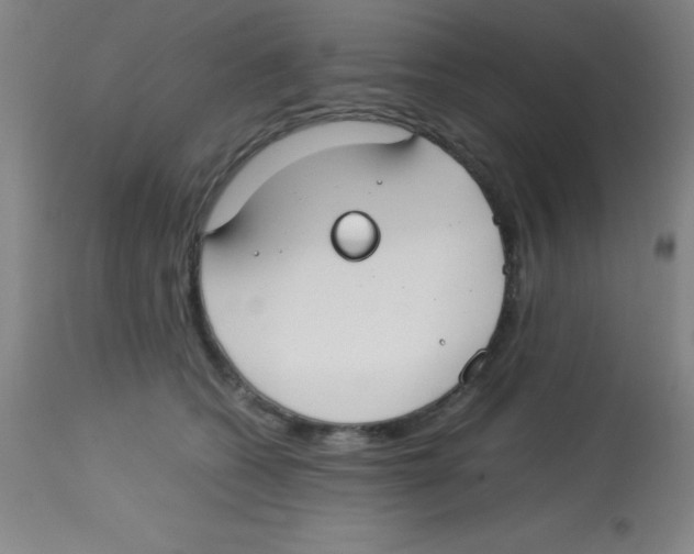 X0000113750562200910211149