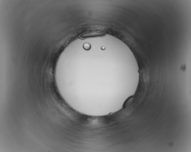 X0000113750564200910211149