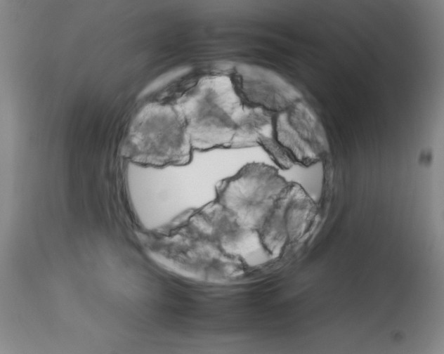 X0000113750565200910211149