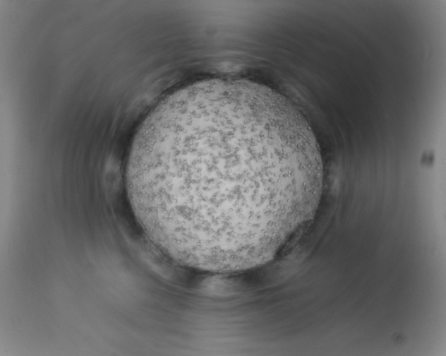 X0000113750568200910211149