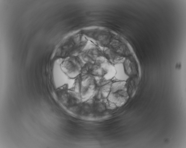 X0000113750569200910211149