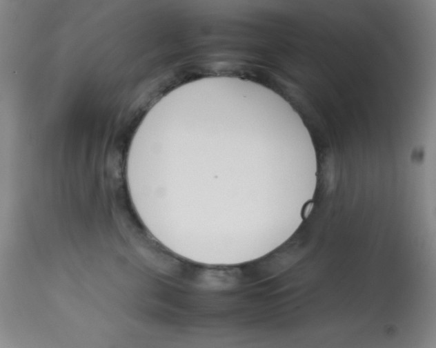 X0000113750571200910211149