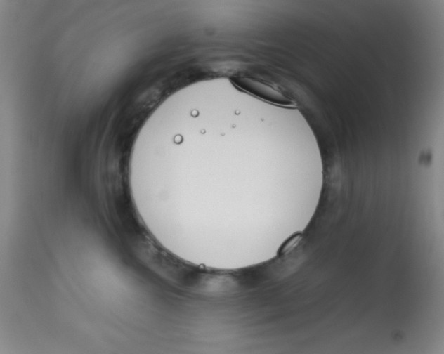 X0000113750572200910211149