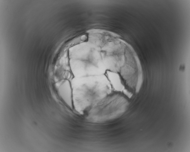 X0000113750573200910211149