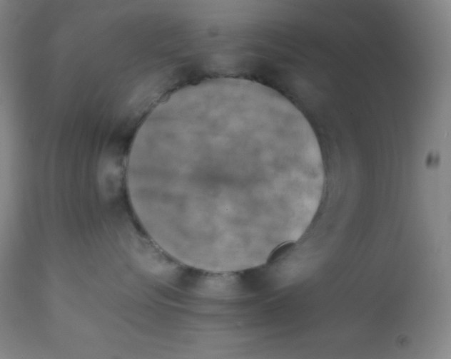 X0000113750576200910211149