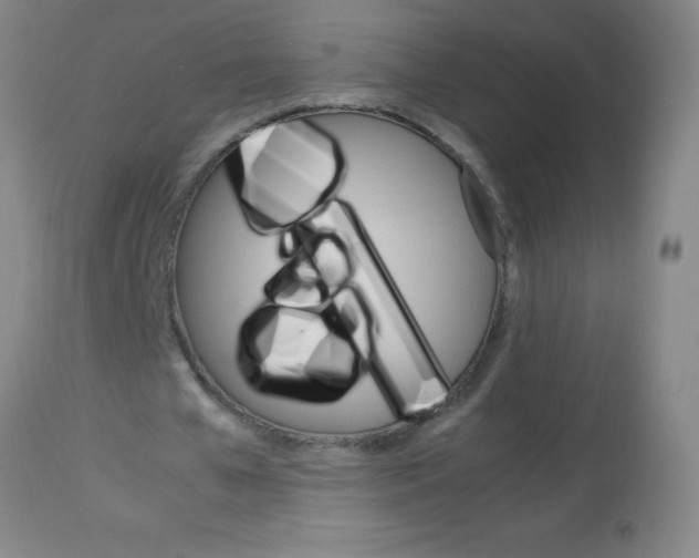 X0000113750577200910211148