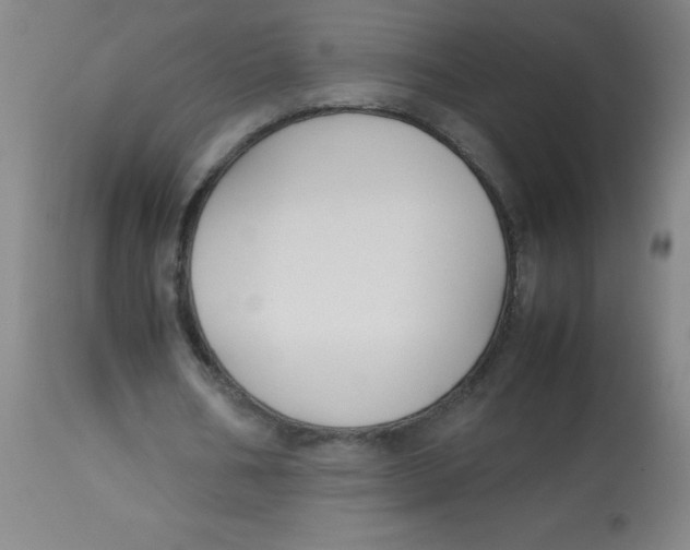 X0000113750578200910211148