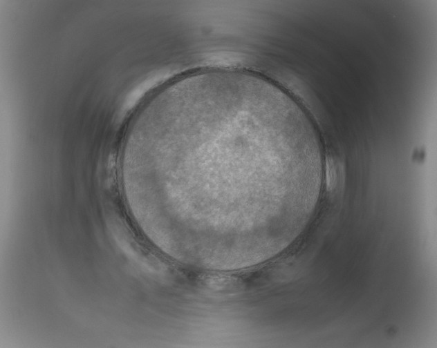 X0000113750579200910211148