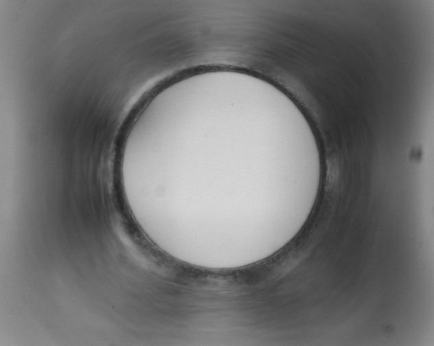 X0000113750580200910211148