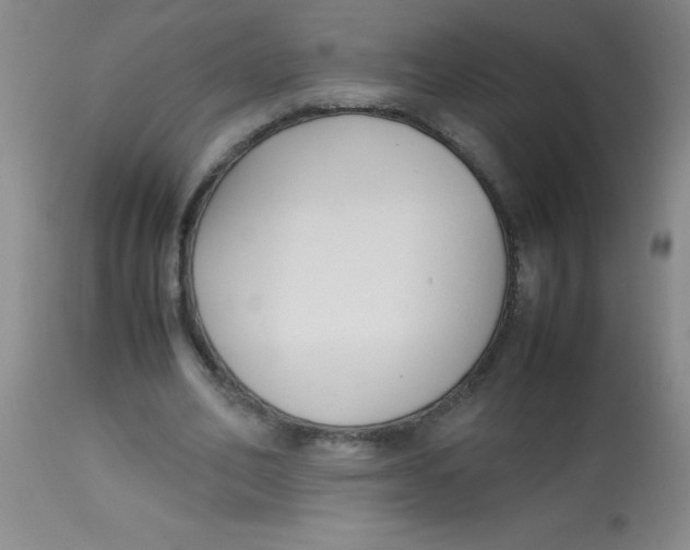 X0000113750582200910211148