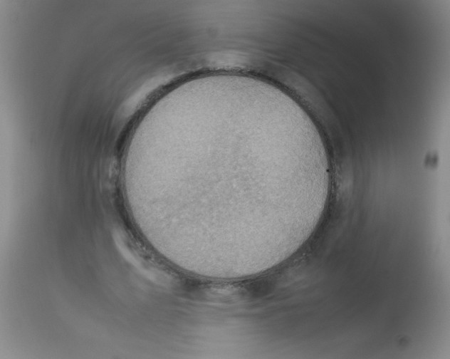 X0000113750583200910211148